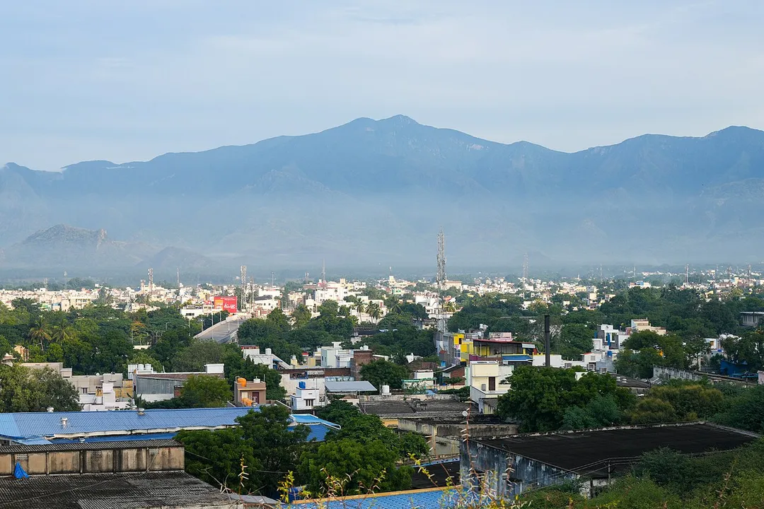 View of Rajapalayam from the SE from Sanjeevi Hills.  Railway bridge on PAC Ramasamy Raja Salai (left-centre), PSK Nagar and Thoppupatti left of the bridge, Pudupalaiyam to the right. Virudhunagar district, Tamil Nadu, India