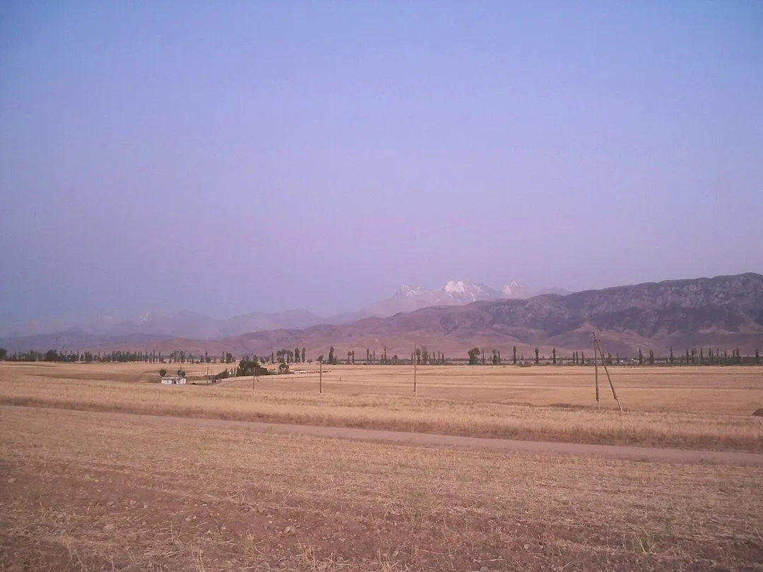 Grain Fields of Isfana.
