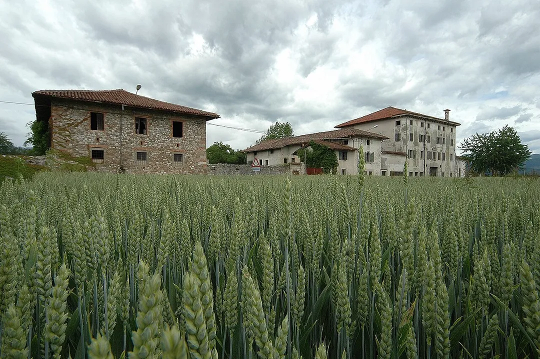 Reana del Rojale, Udine, Friuli, Italia