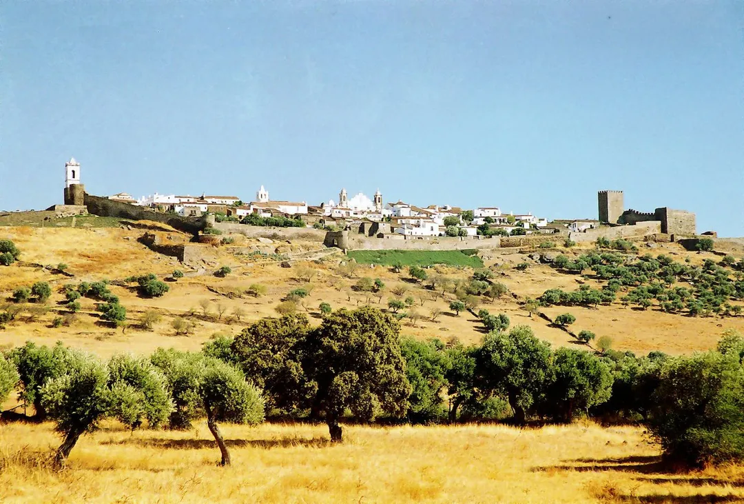 <a href="http://www.cm-reguengos-monsaraz.pt/" rel="nofollow">www.cm-reguengos-monsaraz.pt/</a>