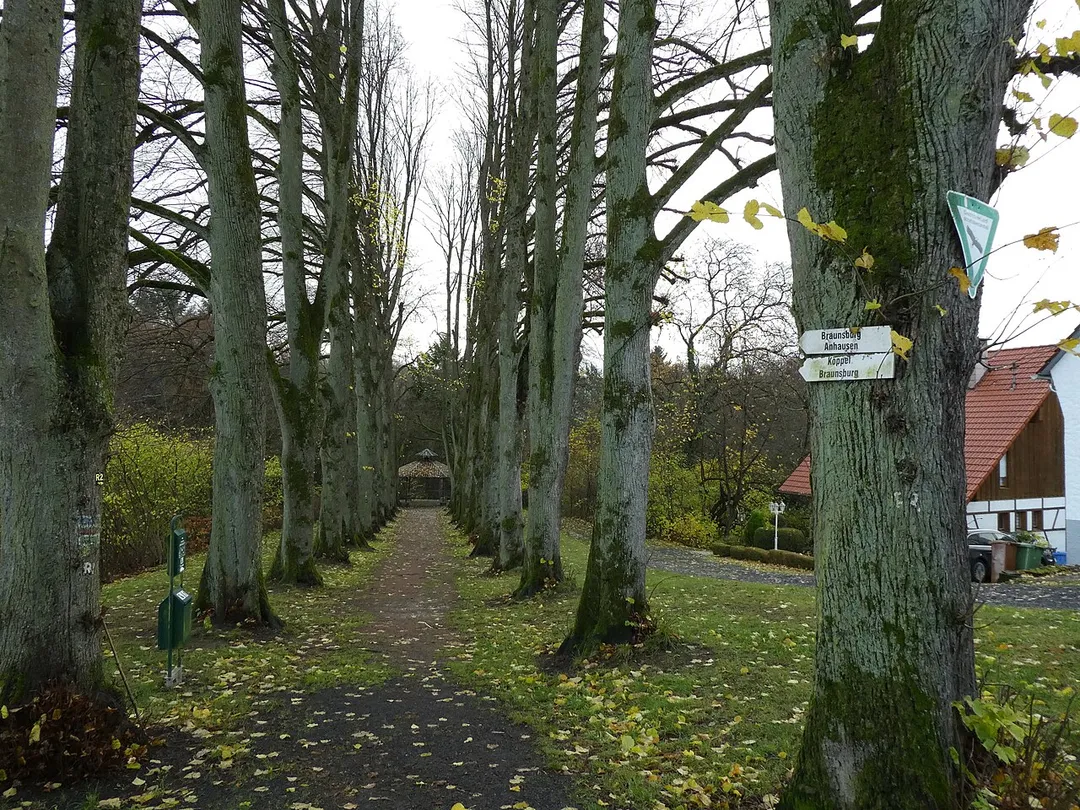 View of the "Lindenallee" in Rengsdorf (Rhineland-Palatinate, Germany), a historic alley with old lime trees, at the end an Art Nouveau pavilion