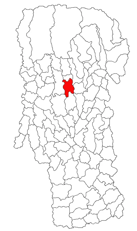 Locator map of the commune of Pietroșani in Argeș County, Romania