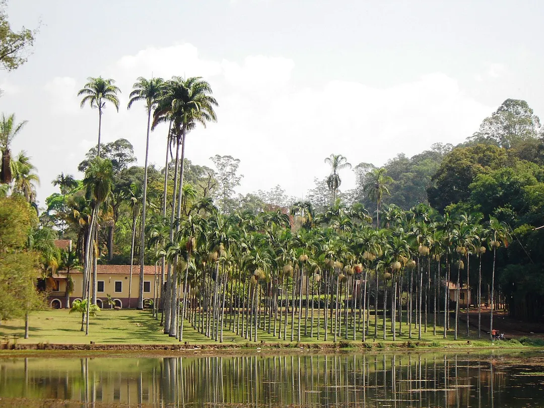 Picture of the forest park Edmundo Navarro de Andrade, in Rio Claro, Brazil. The image shows the mansion where Navarro de Andrade lived.