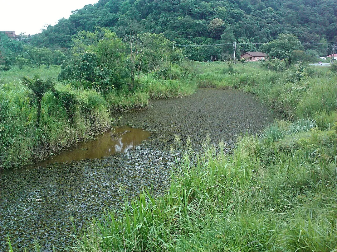 Natural Pond in Rio Grande da Serra (Greater Sao Paulo Area), Brazil.