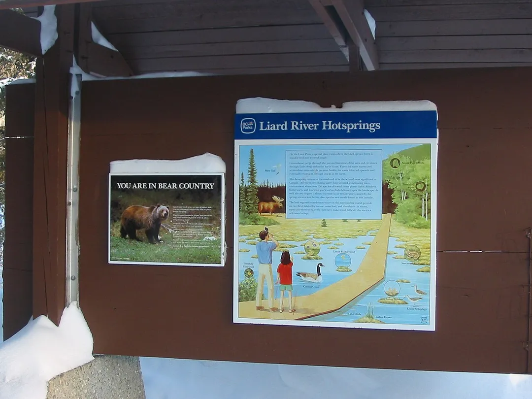 Info Poster at Liard River Hot Springs Provincial Park