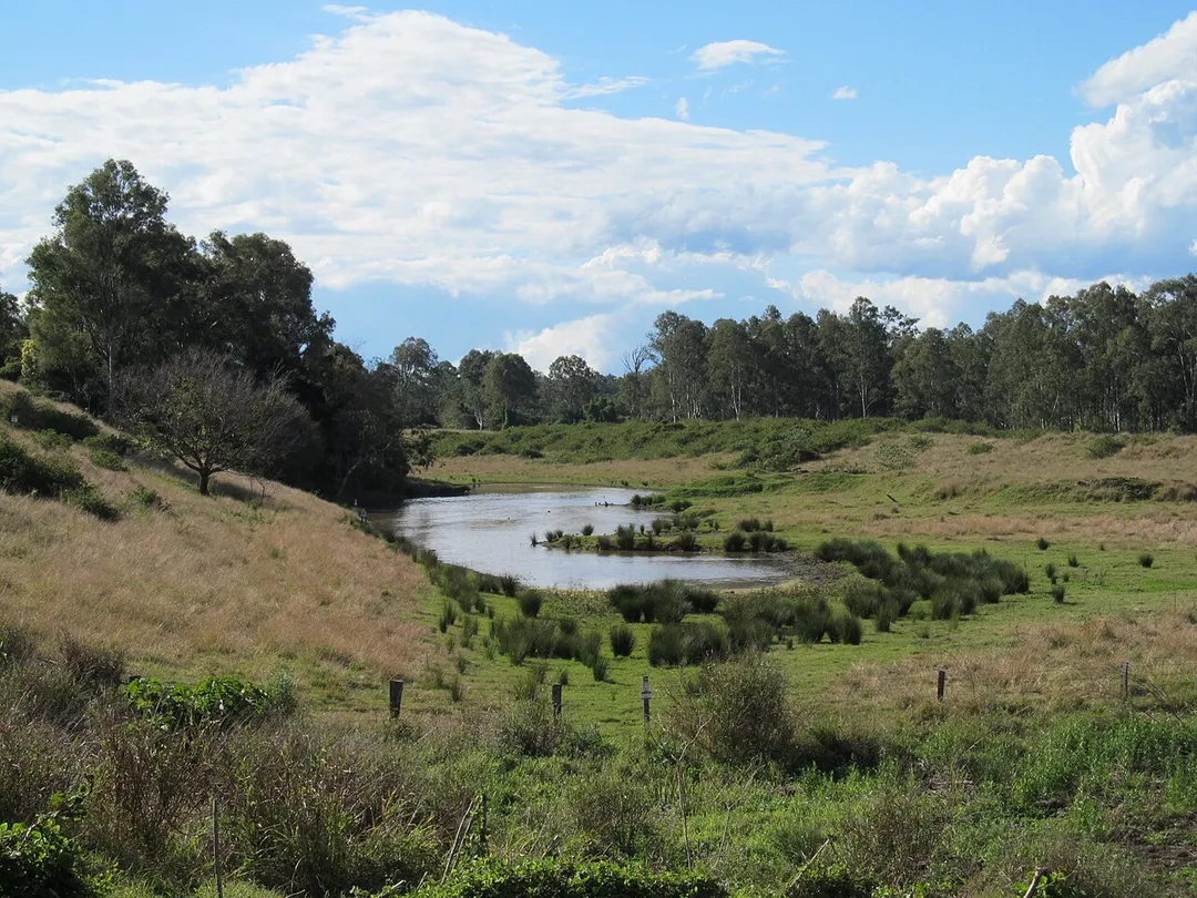 Lake near the Moggill ferry terminus in Riverview, Queensland