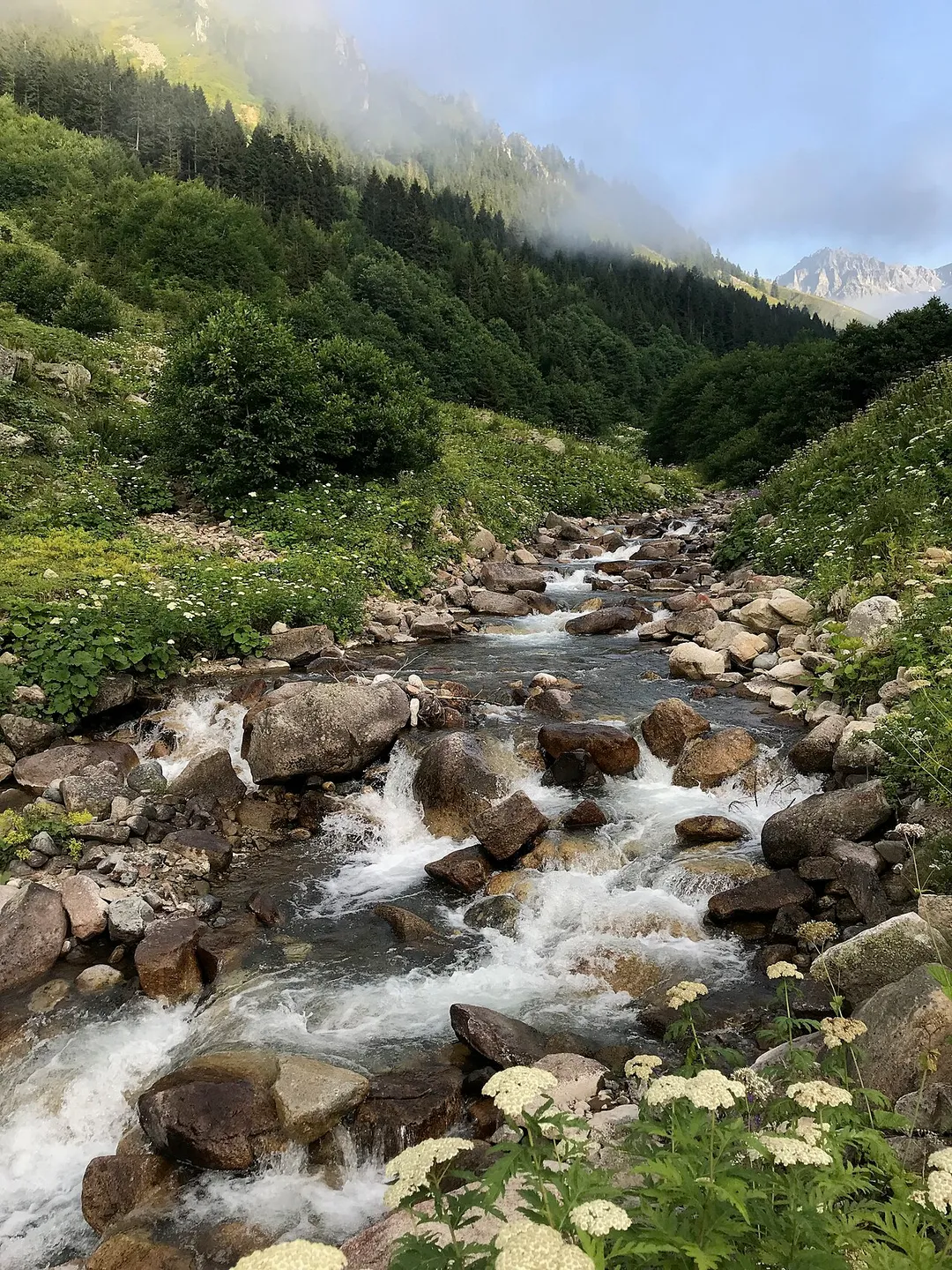 Aşağı Ceymakçur in Rize Province, Turkey.