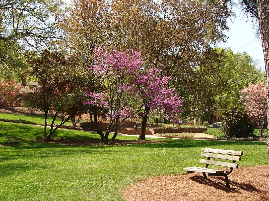 Glencairn Gardens in Rock Hill