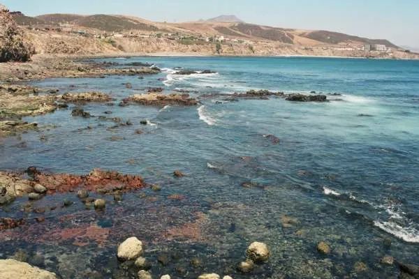 Playa El Rosarito, Tijuana.