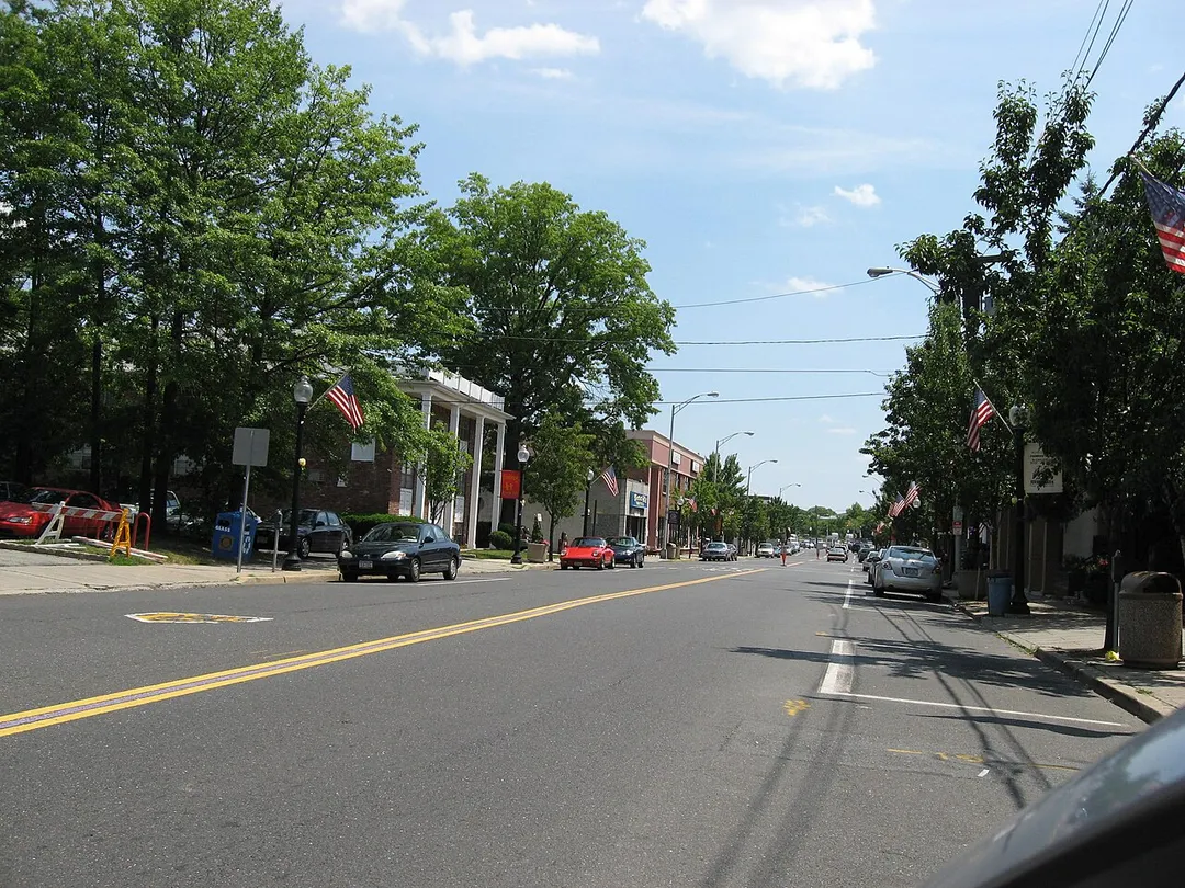 Roselle Park Chestnut Street (Main Street of Borough)