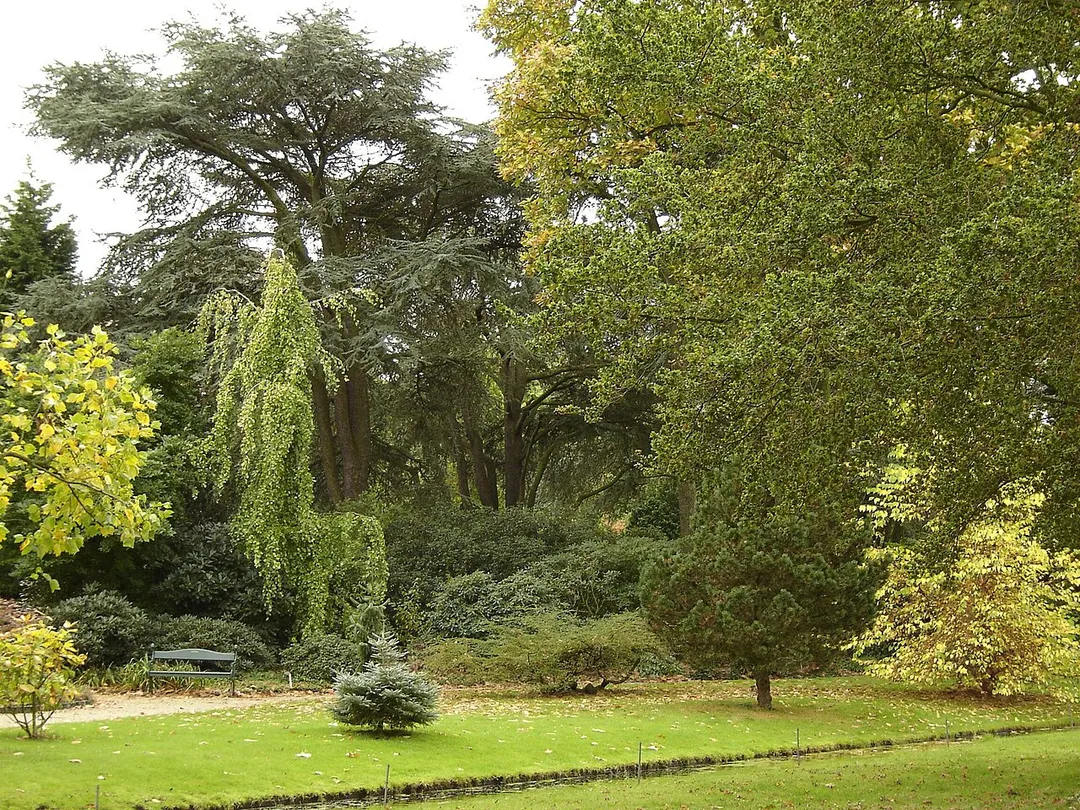 Arboretum Trompenburg, Rotterdam, Netherlands