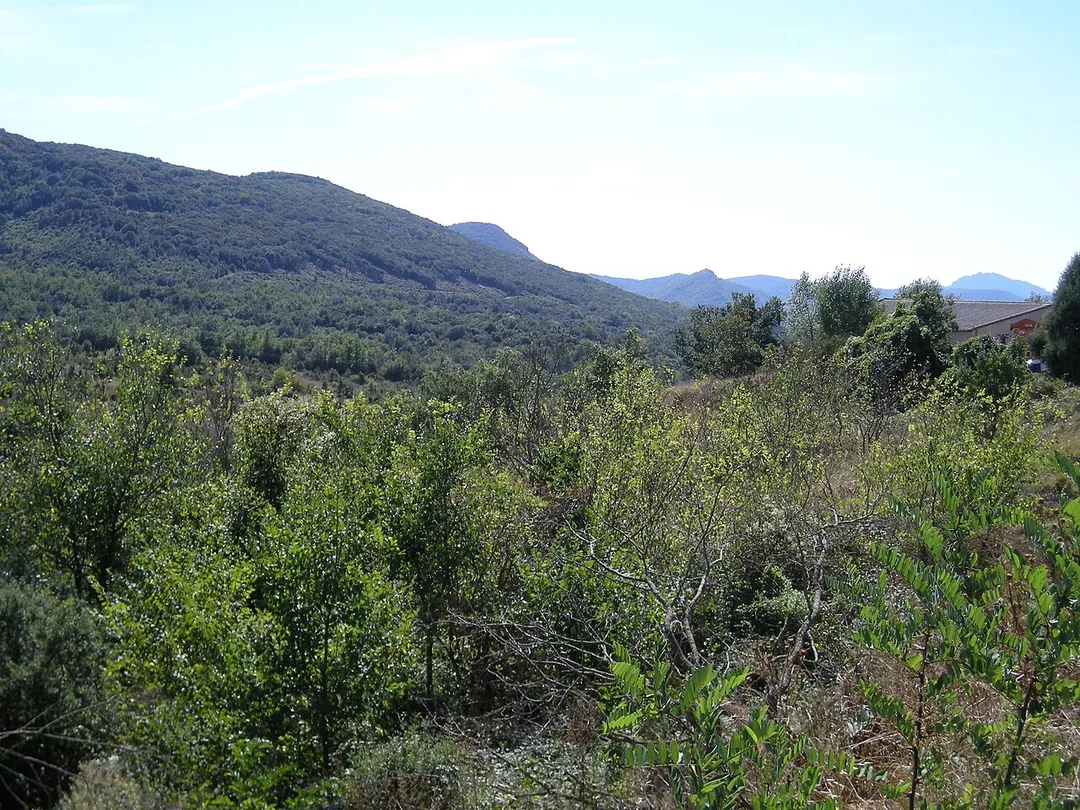 Pyrenees from Mouthoumet (Aude)