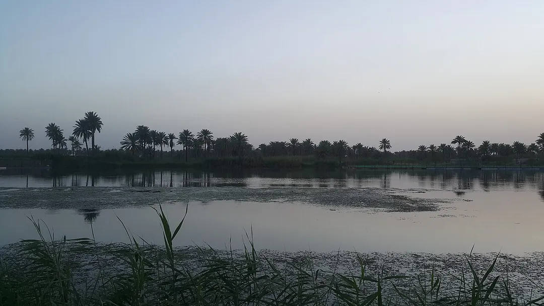 نهر الفرات وهو يمر بمحافظة بابل قرب قضاء المسيب