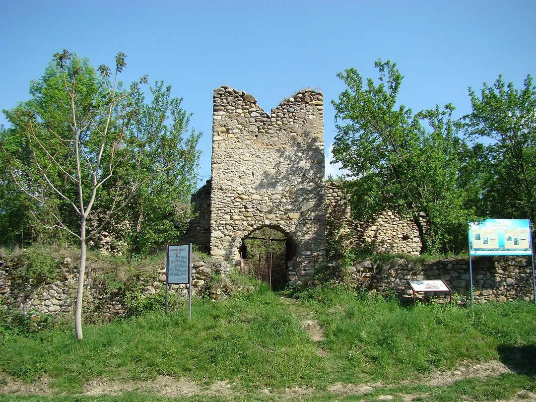 Curtea cnezilor Cândreş,  sat SĂLAŞU DE SUS; comuna
SĂLAŞU DE SUS