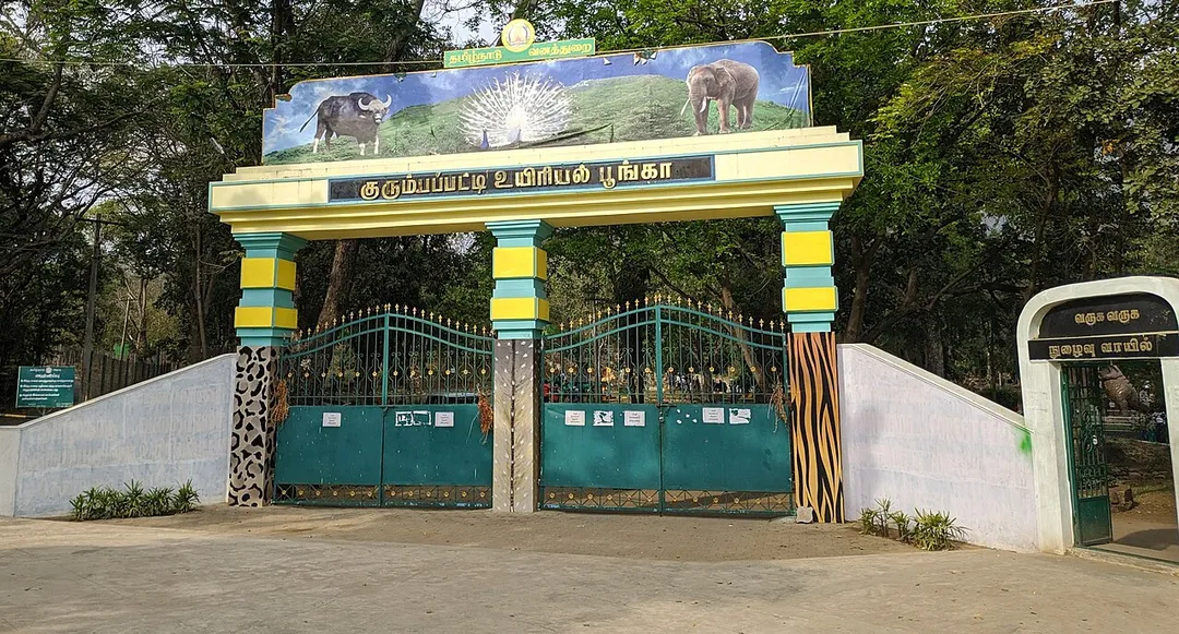 a good picture of zoo entrance in salem