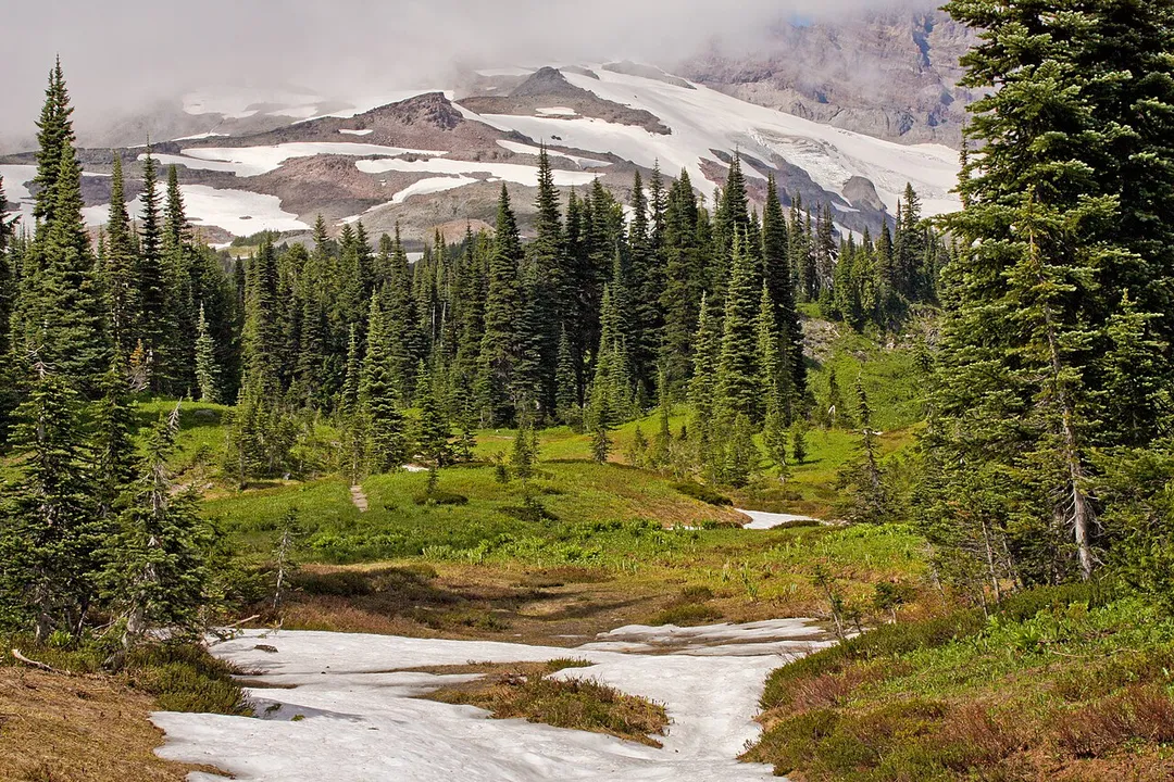 Subalpine Fir forest; McClure Rock (left center, just above forested slopes; 7385 feet)