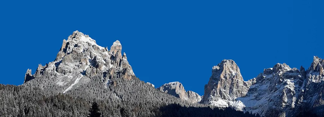 Parco naturale Paneveggio - Pale di San Martino (Q267909)