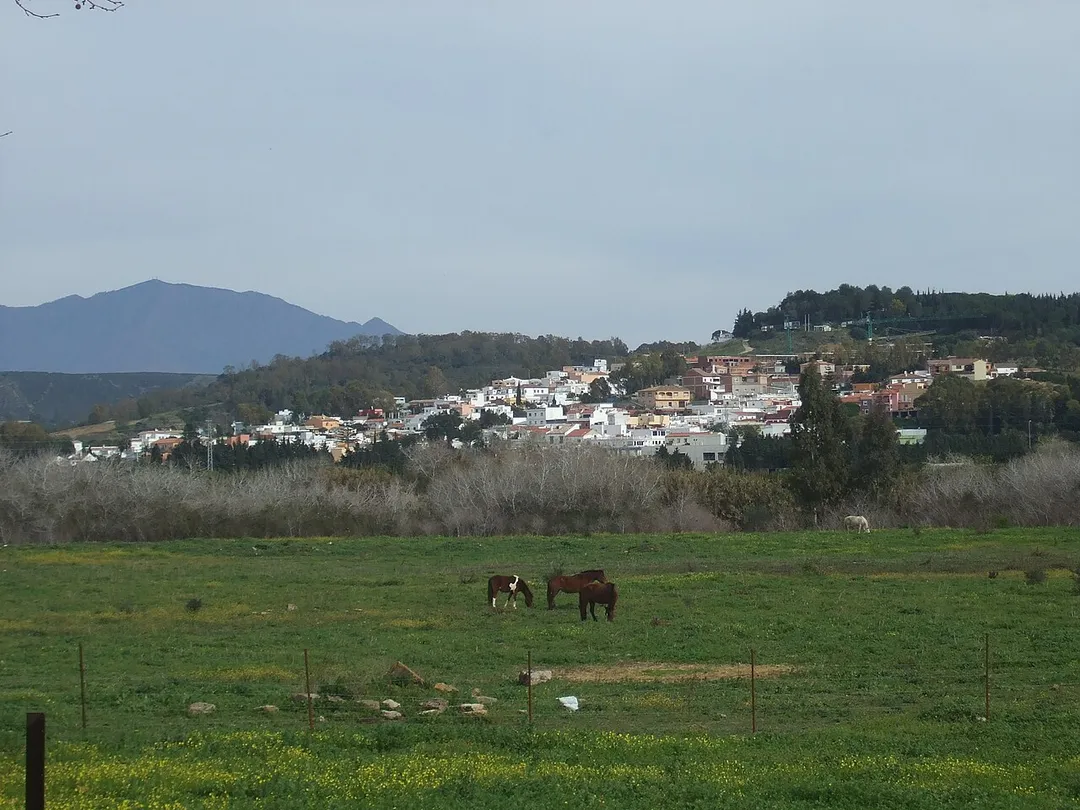 San Enrique de Guadiaro. Al fondo, Sierra Bermeja.