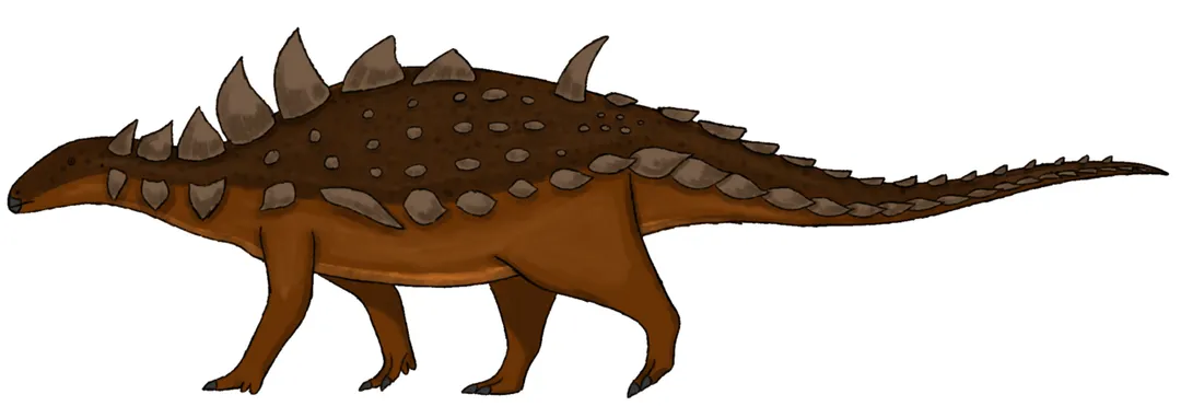 Reconstruction of Struthiosaurus transsylvanicus from the Late Cretaceous of Europe. Based on Frotzler 2017