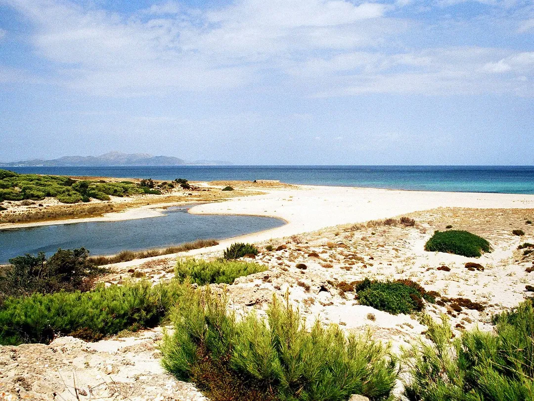 Platja de son Real, Strand an der Bucht von Alcudia, Mallorca (Balearen)