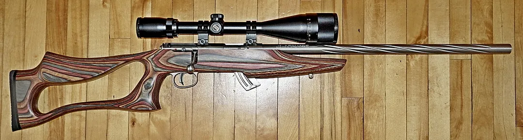 Savage Mark ll BSEV .22lr