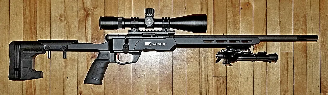 Savage B22 Precision