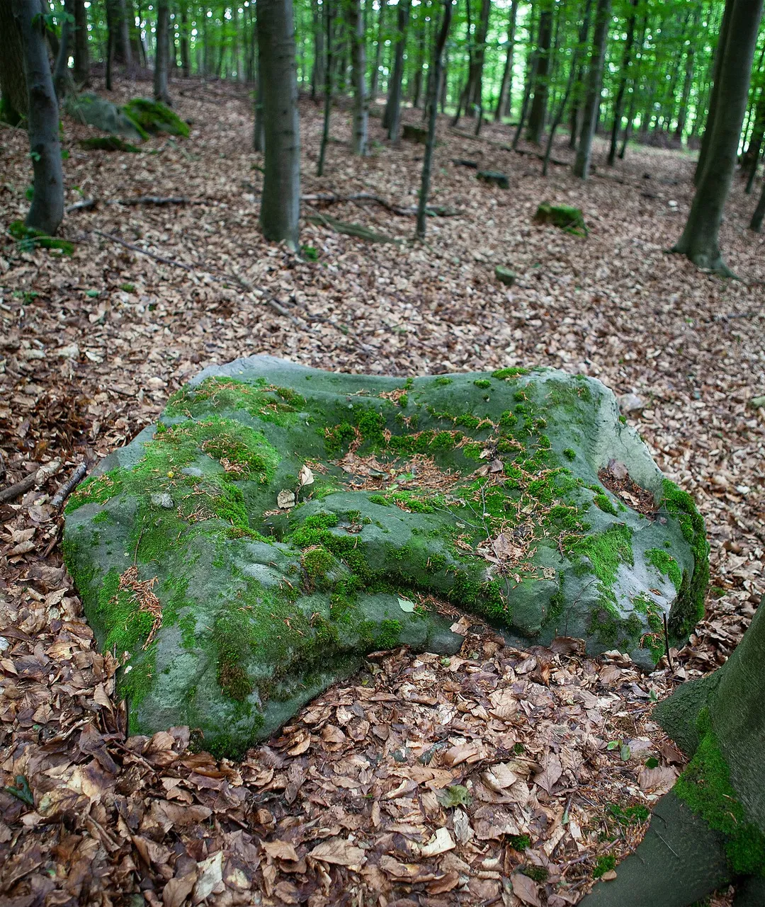 Teufelsstein am Bennerberg, Schieder-Schwalenberg, Kreis Lippe, Nordrhein-Westfalen.