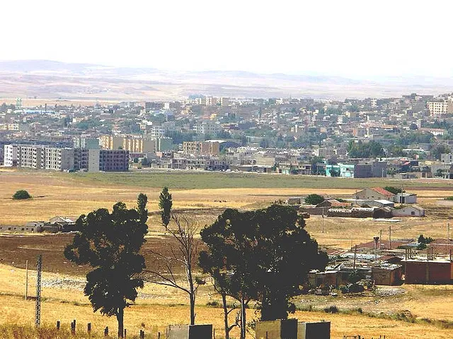 Ville de Sédrata, 41200. Algérie.