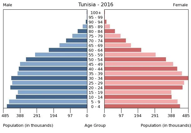 A population pyramid illustrates the age and sex structure of a country's population and may provide insights about political and social stability, as well as economic development. The population is distributed along the horizontal axis, with males shown on the left and females on the right. The male and female populations are broken down into 5-year age groups represented as horizontal bars along the vertical axis, with the youngest age groups at the bottom and the oldest at the top. The shape of the population pyramid gradually evolves over time based on fertility, mortality, and international migration trends.