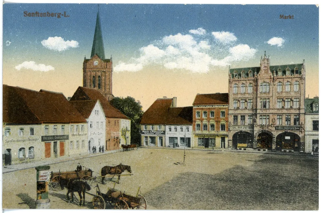 Senftenberg; Markt