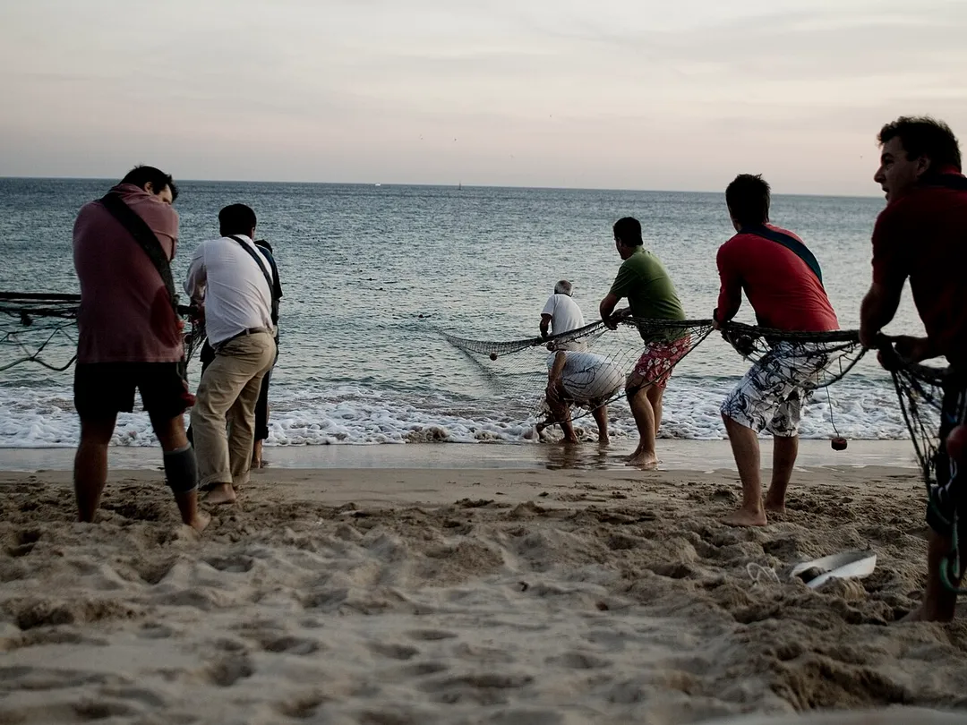 Pescadores de Sesimbra puxando a rede