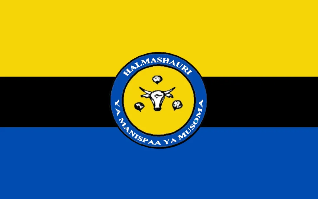 Flag of Musoma Municipal Council