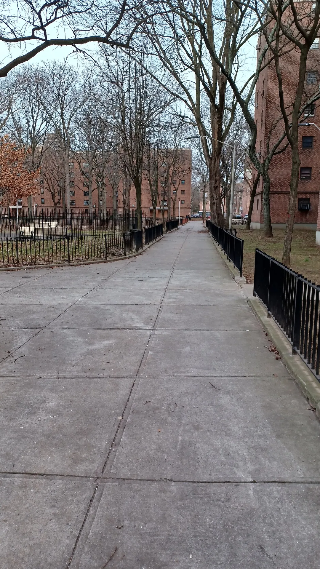 walking path among NYCHA sheepshead Nostrand development