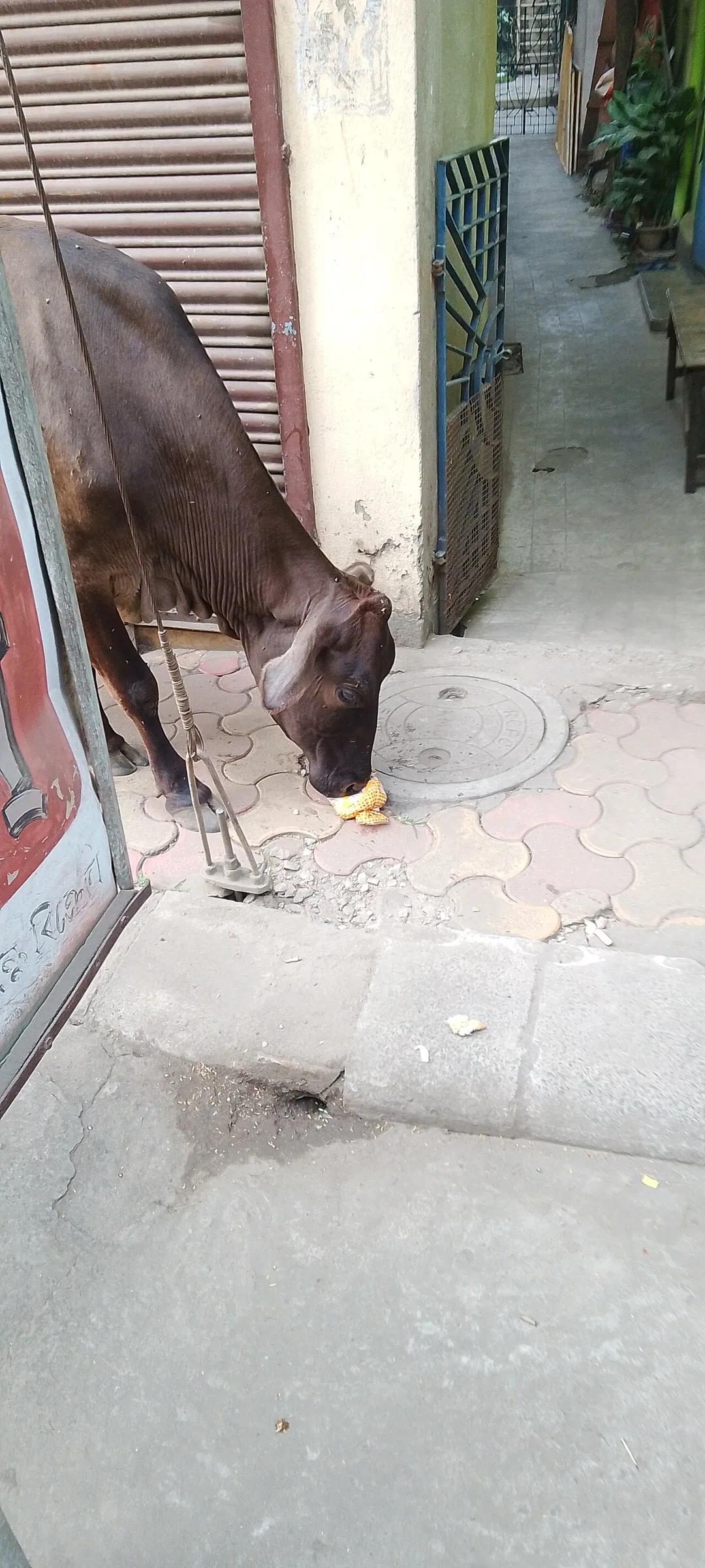 Shyamnagar railway station (Railway Station in West Bengal, India)