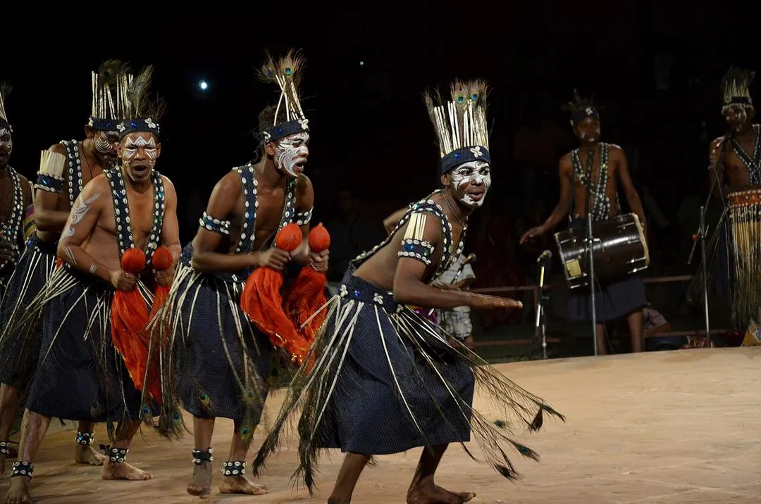 once they belong to tribe of africa but they settled in india then and remains in india from that time to today , they now knows as indian tribal people and peforms sighi dhamaal dance at lokkrangg festival jaipur rajasthan state of india