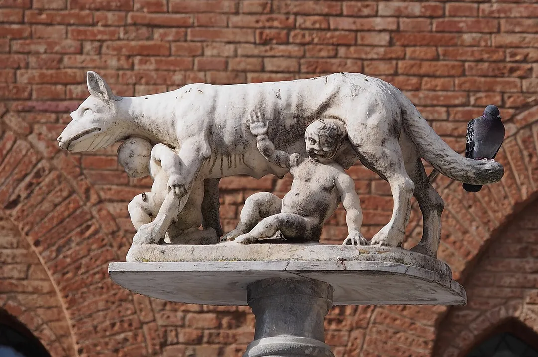 Capitoline Wolf at Siena Duomo. By legend Siena was founded by Senius and Aschius, two sons of Remus. When they fled Rome, they took the statue of She-wolf to Siena, what becomes symbol of the town.