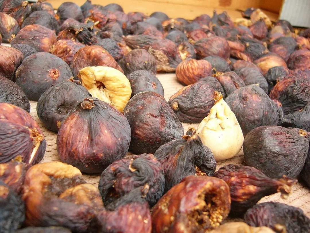 "Quttain" the arabic name of dried figs , photo was taken in Bil'in