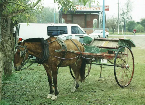 Sulky and horse in Simoca, Tucumán, Argentina