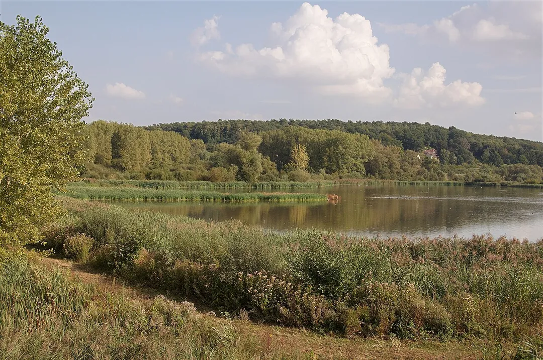 Nature reserve "Het Grootbroek" in Sint-Agatha-Rode, Belgium