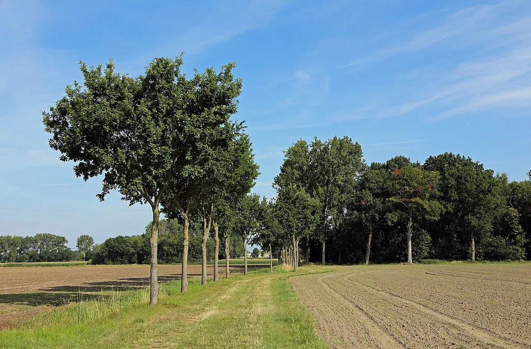 Sint-Andries (municipality of Bruges, Belgium): landscape