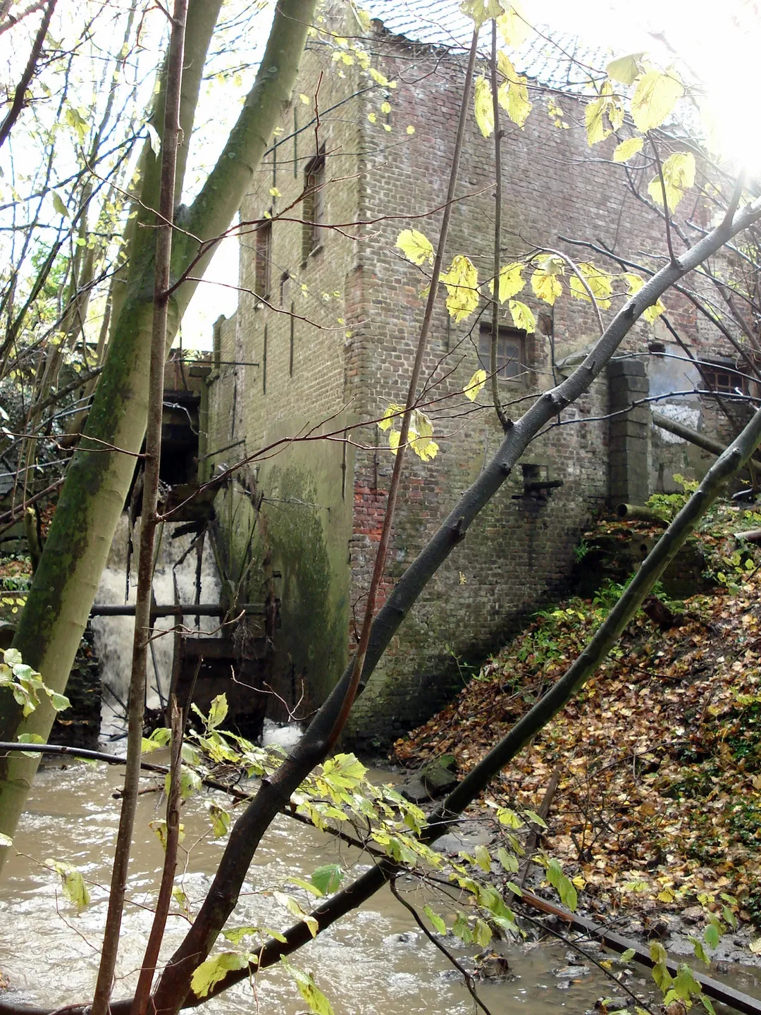 Sint-Lievens-Houtem, Oost-Vlaanderen. Korenwatermolen op de Molenbeek, 19e eeuw.
