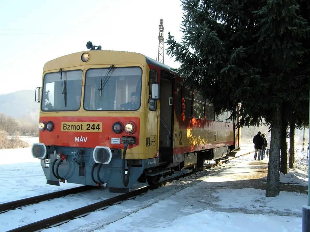 Train in Sirok railway station, Hungary