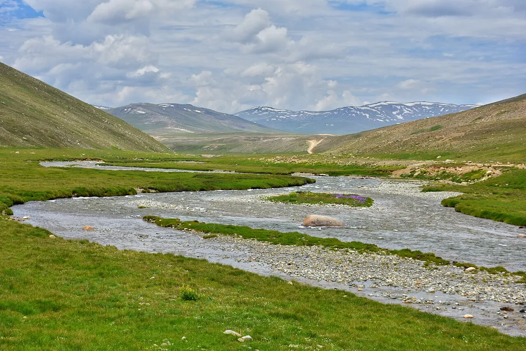 Barra Pani surrounded with lush green plains and mountains is located in Deosai National Park, Pakistan.