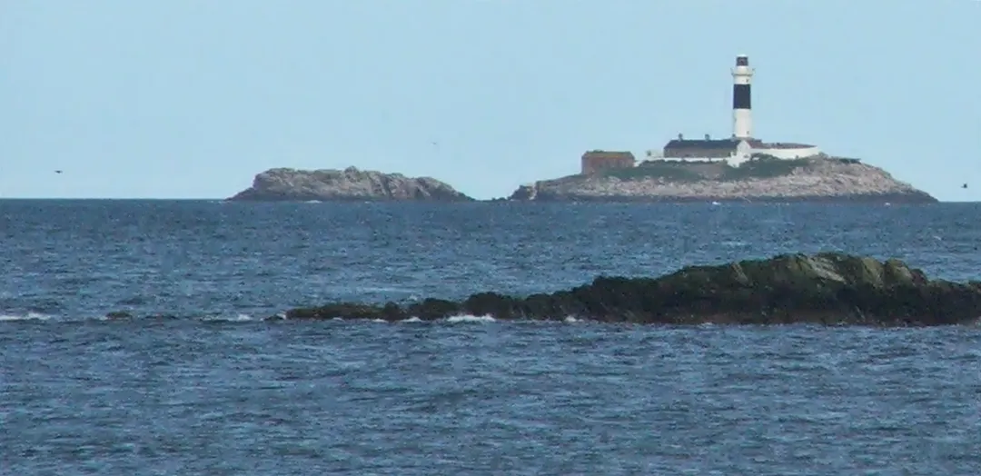 This picture is a bit grainy as it was taken at great distance and then cropped.