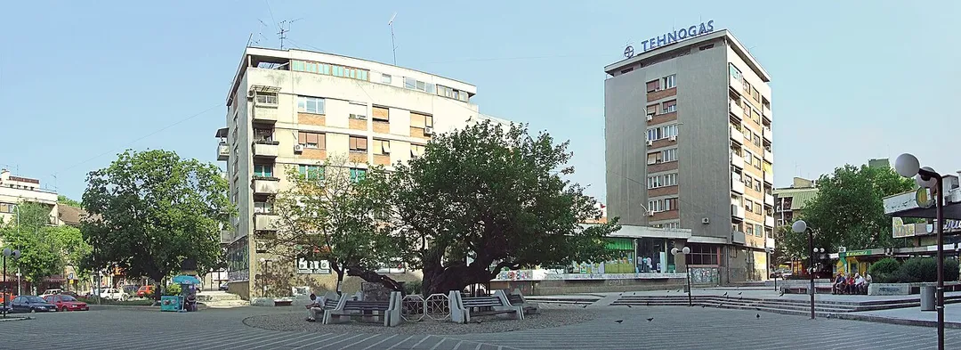 Karađorđev dud (Karađorđe's mulberry) is important place in the history of Smederevo. On November 8th 1805, under this three the keys of Smederevo Fortress were given to Karađorđe, the leader of First Serbian Uprising by turkish Dizdar Muharem Guša (serbian pronunciation). This place is called Trg Karađorđev dud (trg means square in Serbian).