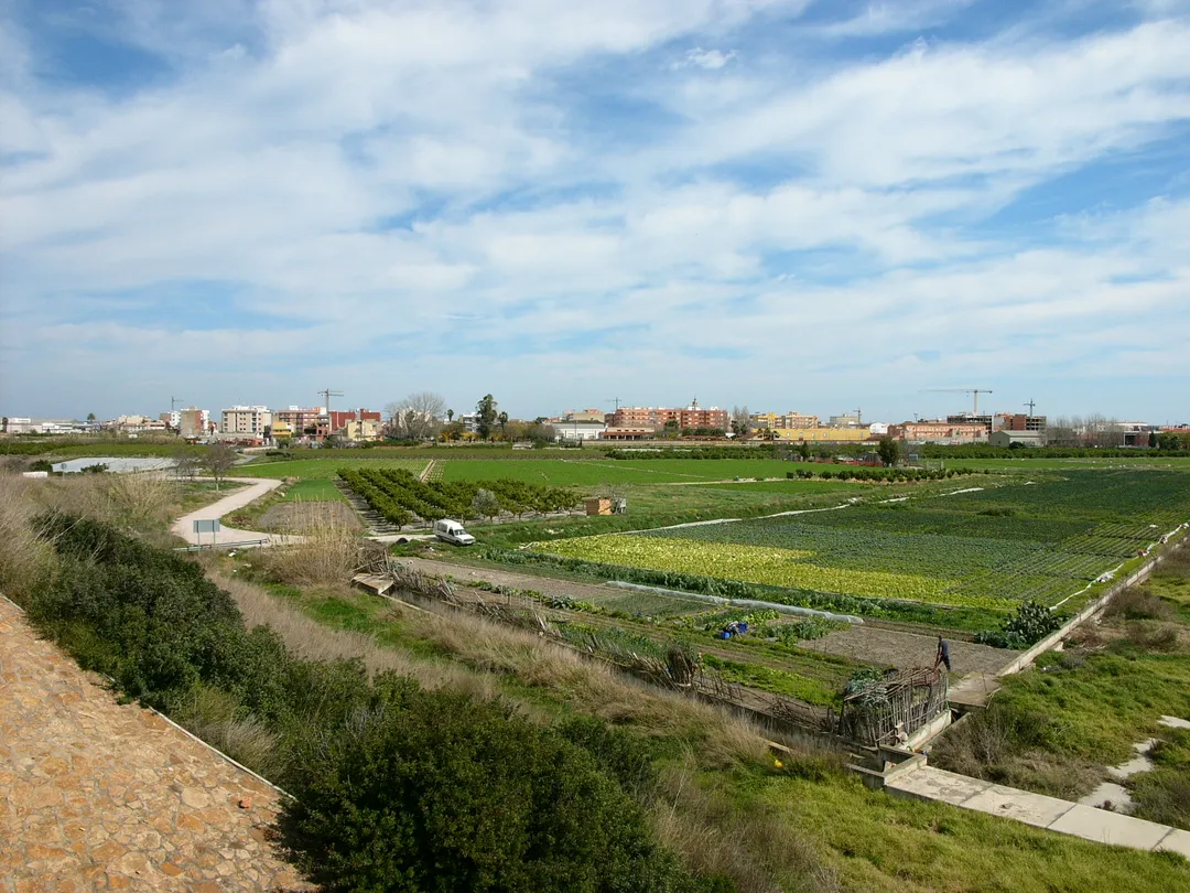 vista del terme de Sollana des del camí d'Alzira