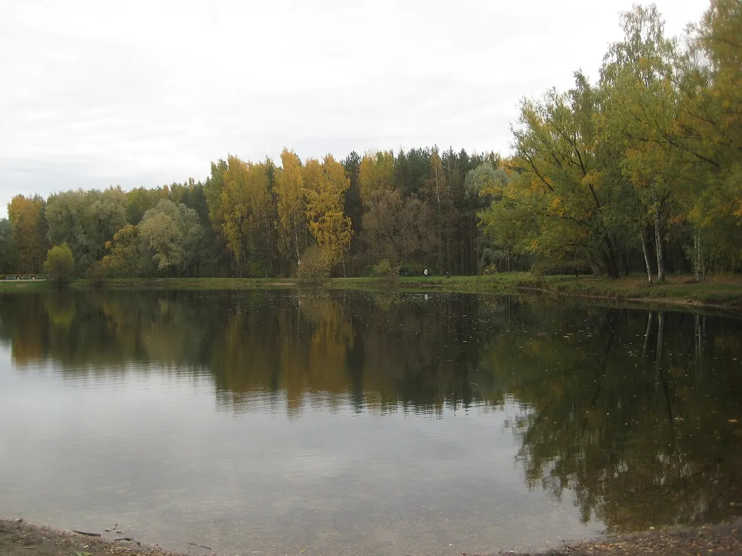 Sosnovka park: Vyborgsky District, St. Petersburg.