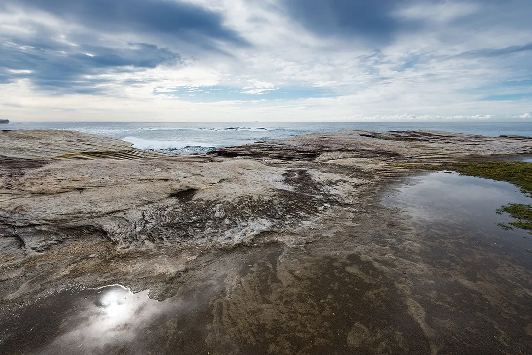 Photo of South Coogee