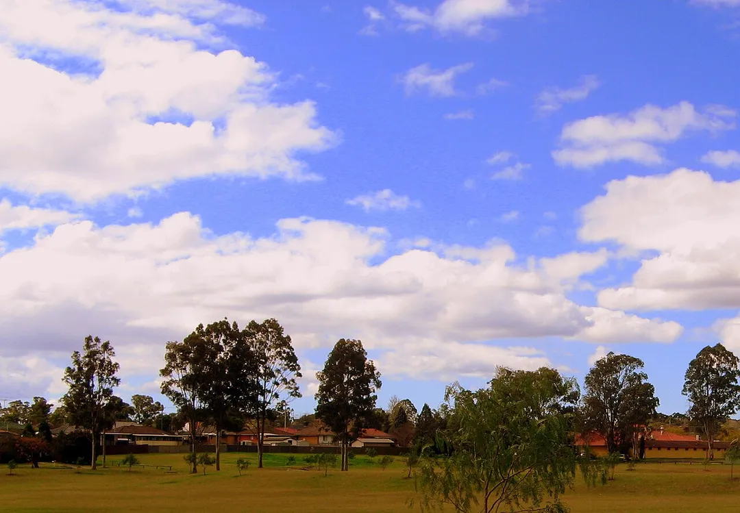 Representative view of South Penrith showing sparsely-treed open space in the foreground, and single-storey brick dwellings in the background. Vegetation is typical of the area, predominantly a mix of eucalypt species.