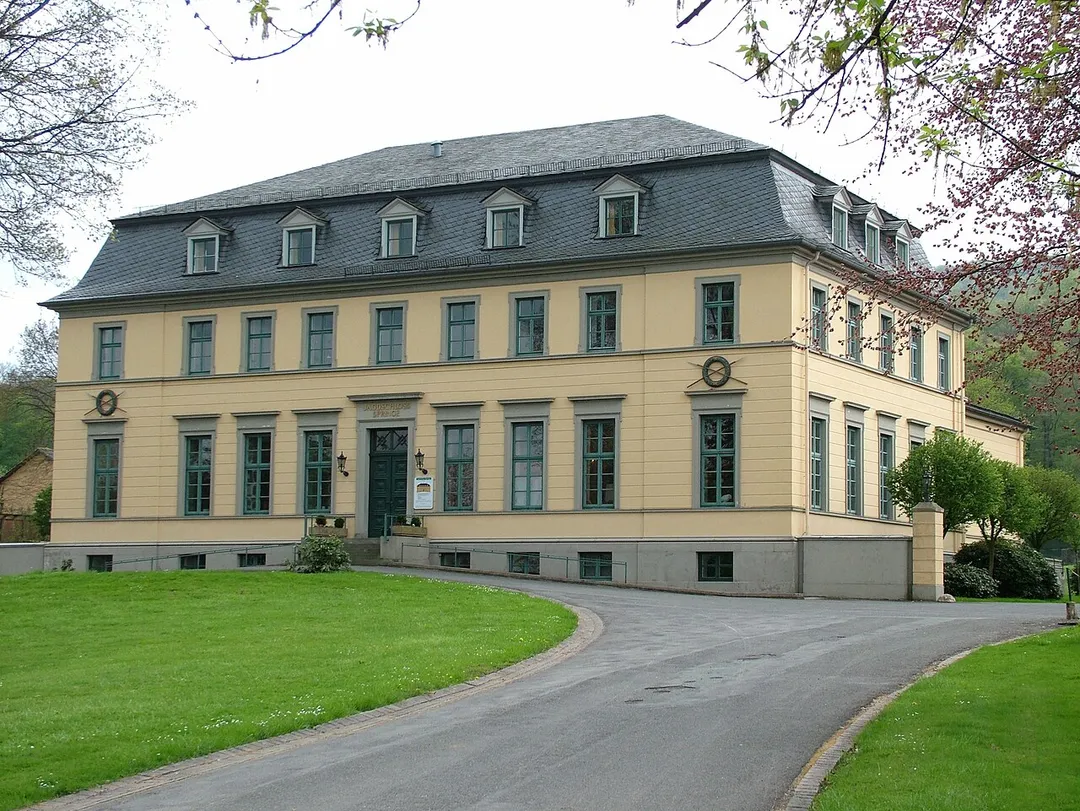 Photo of Springe